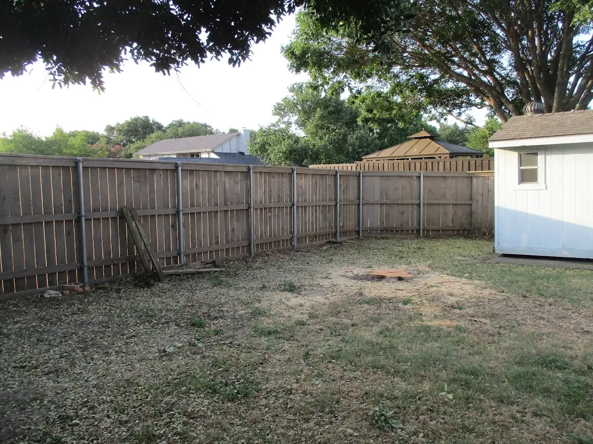 Cleared yard after professional tree removal in Woodbine