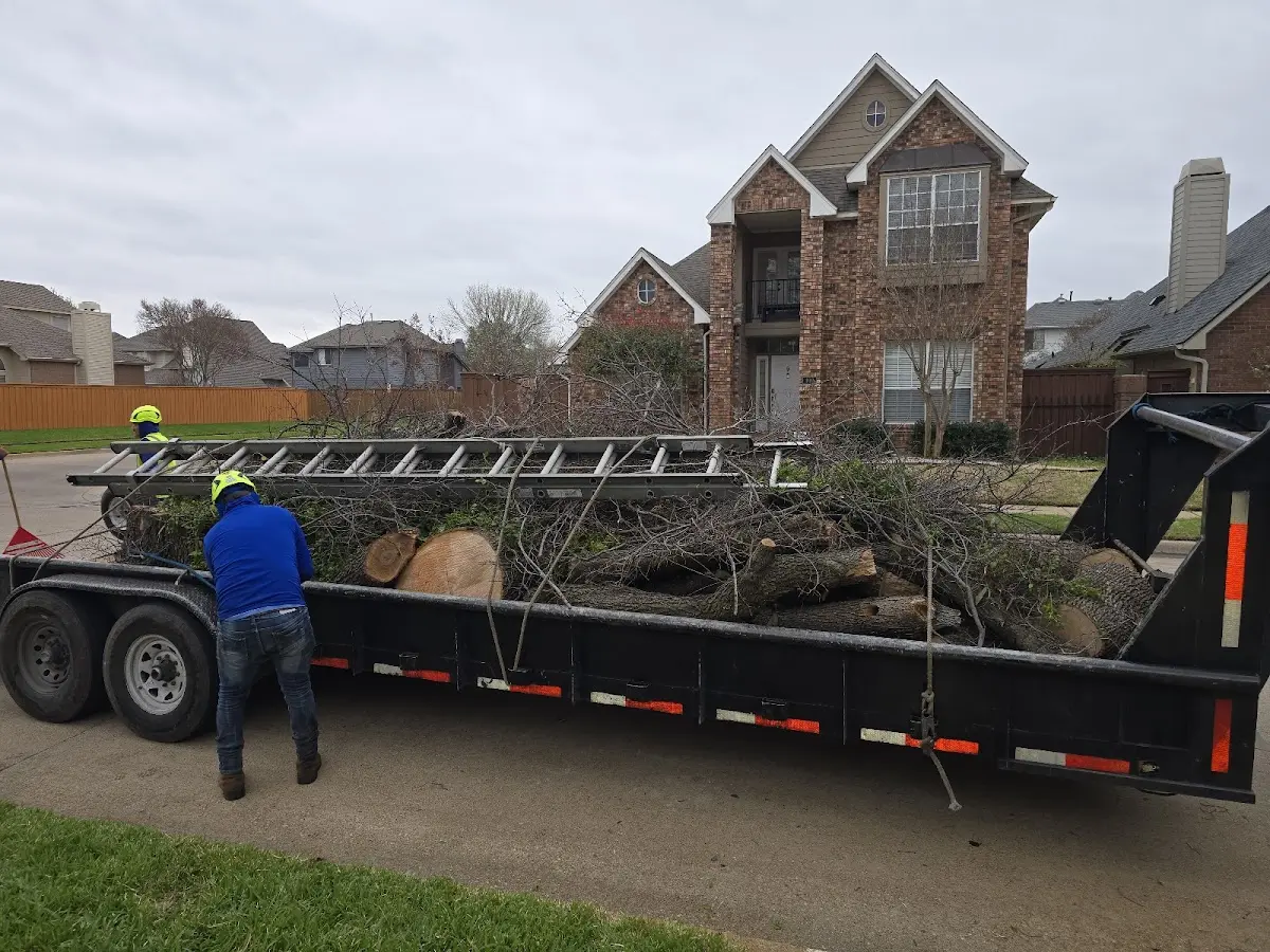 Expert Crown Reduction with proper safety equipment in Woodbine